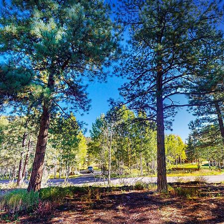 Вилла Pinon Pines Саут-Форк Экстерьер фото